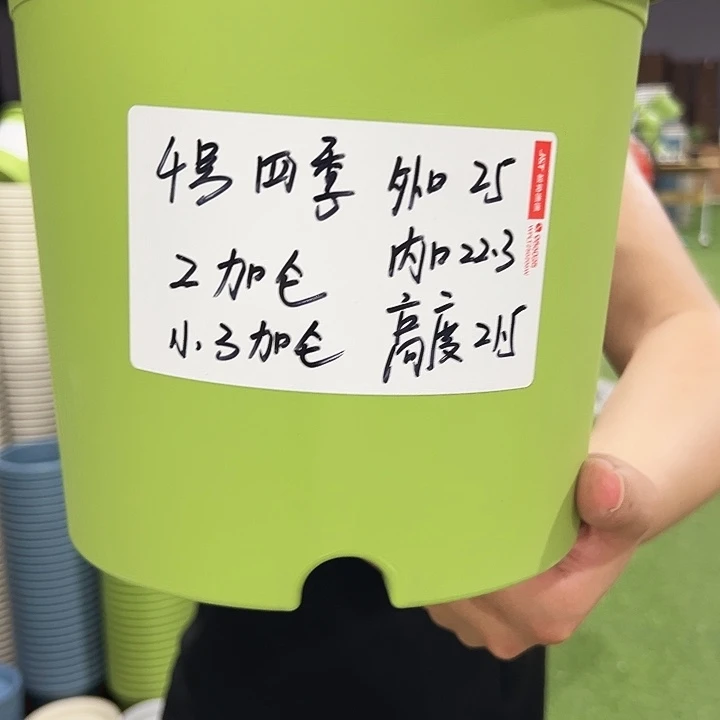 特价4号四季口25高21灰白色8只无托