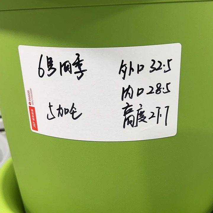 特价6号口32.5高27白色7只无托