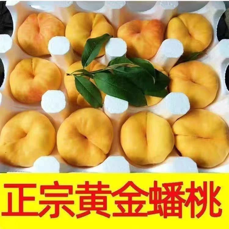 坏果包赔顺丰包邮山东蒙阴新鲜应季蟠桃香甜多汁现摘现发脆桃黄桃