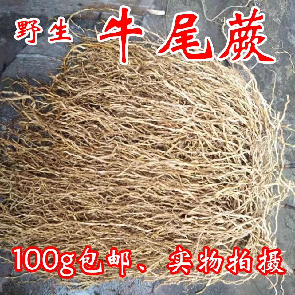 牛尾菜正品新货晒牛尾蕨 牛尾菜 牛尾结 大通根叶菜散装干货