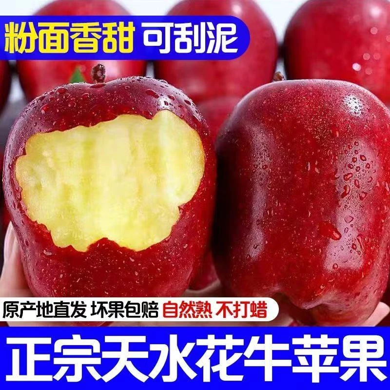 【可粉可脆】正宗甘肃天水花牛苹果当季水果高山种植原产地直发