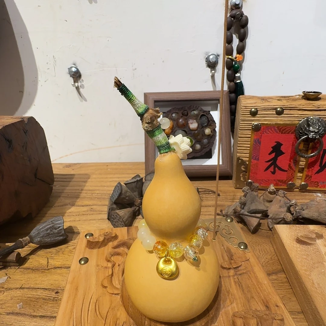 老了就不想了吗我的天