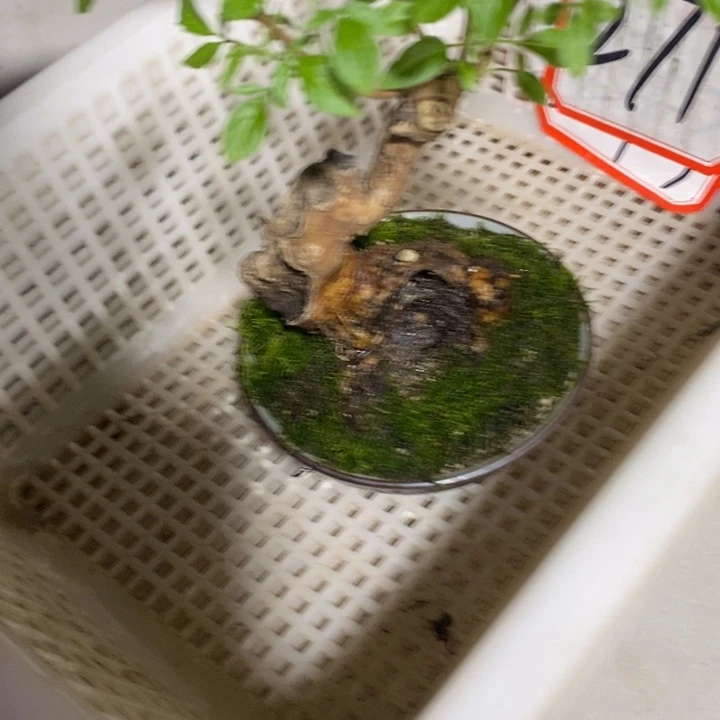 渔**水退款拉黑一物一拍271