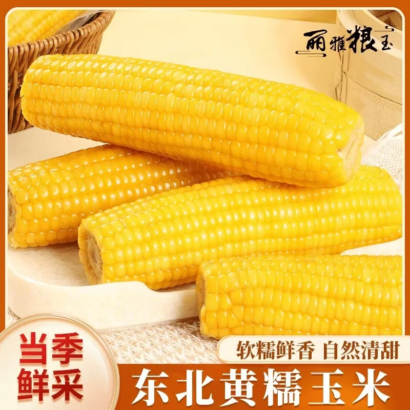 【整箱15根】东北黄糯玉米真空锁鲜产地直发整箱7-8斤(试吃4根)