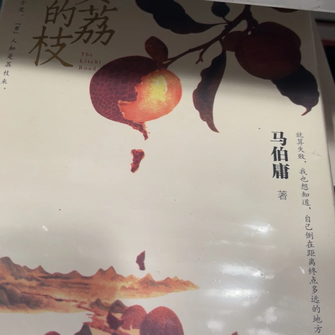 长安的荔枝精装一个
