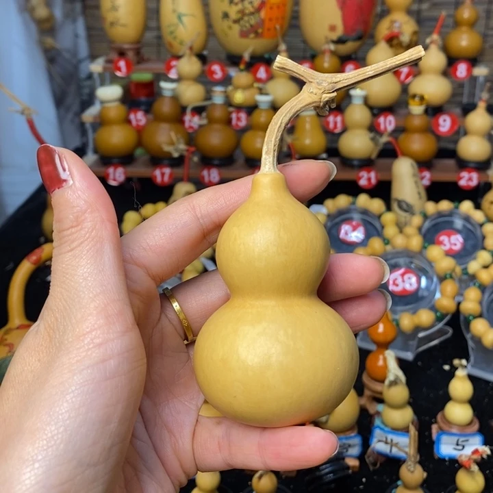 李***西葫芦葫芦葫芦葫芦