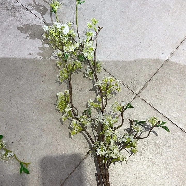 一口价两只样品雪柳