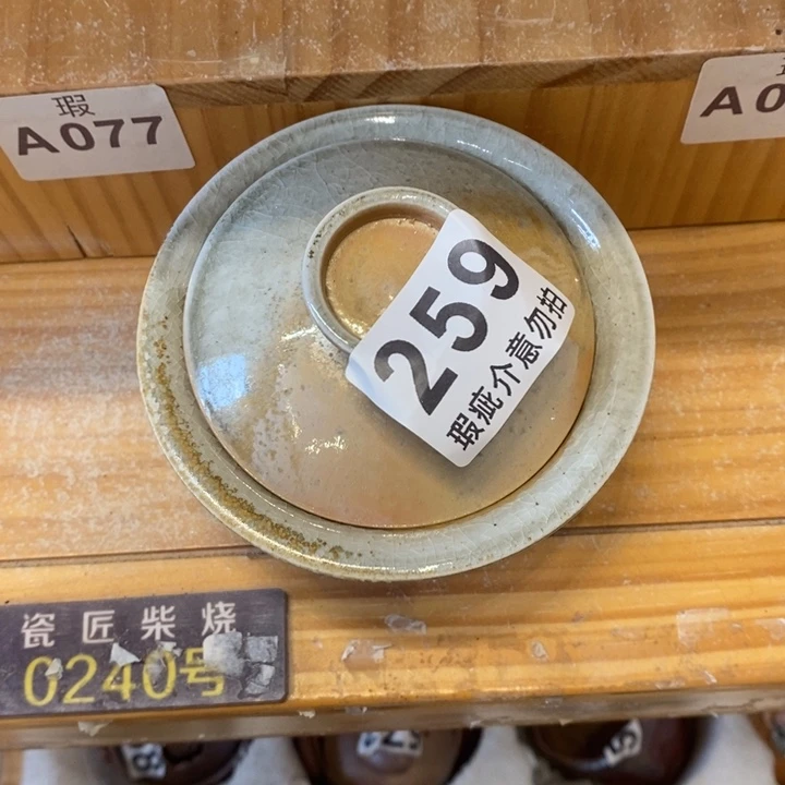杯柴烧的我一夜之间
