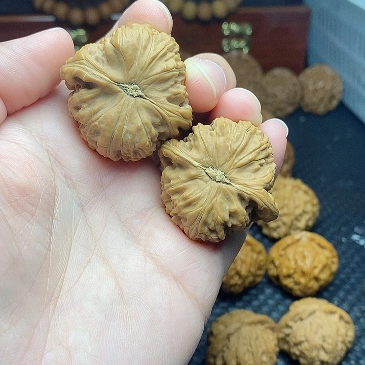 文玩核桃把件39白狮子