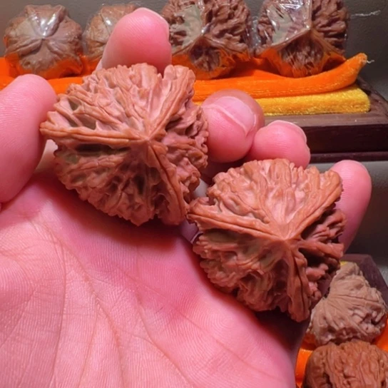 三角形大奔罕见土豪40边40高全品