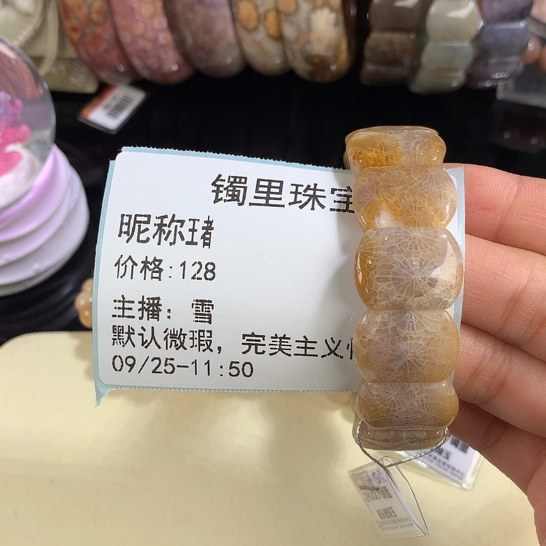 王***者硅化珊瑚（珊瑚玉）未镶嵌吊坠(赠链)