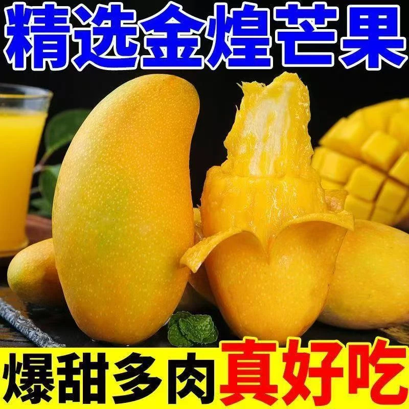 海南金煌芒【青黄随机发货】当季新鲜芒果5斤甜心核薄无丝大青芒果
