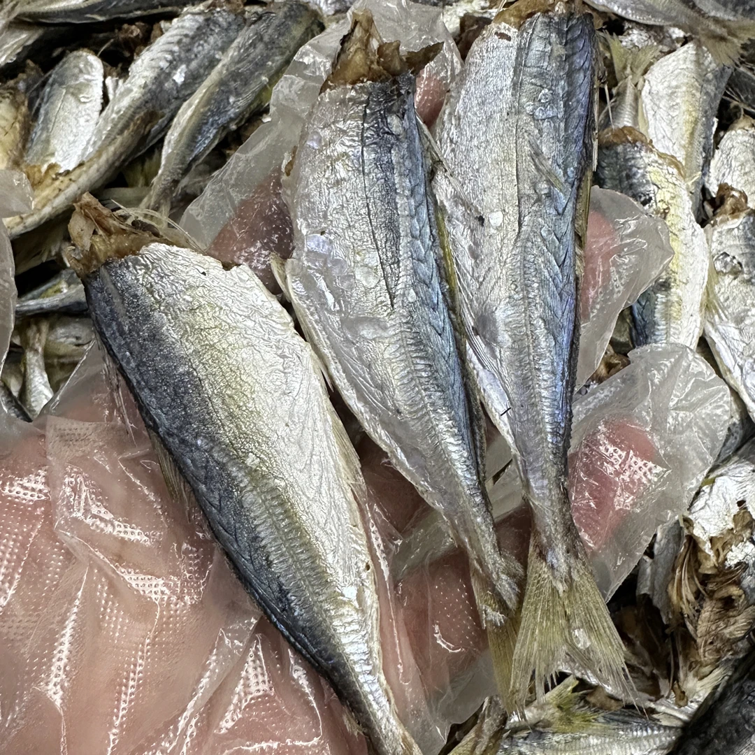 淡巴浪鱼干去头巴浪鱼干汕尾马宫巴浪鱼