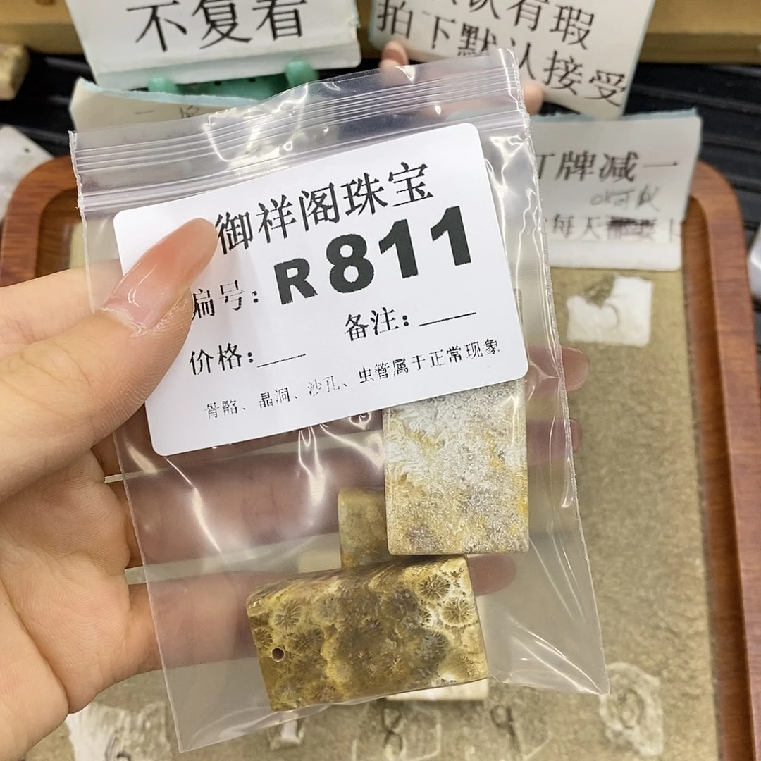 硅化珊瑚（珊瑚玉）未镶嵌颈饰策****啊