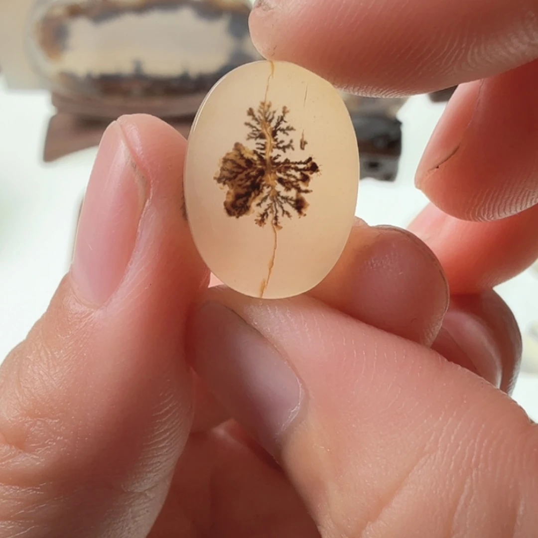 玛瑙/玉髓未镶嵌珠宝半成品