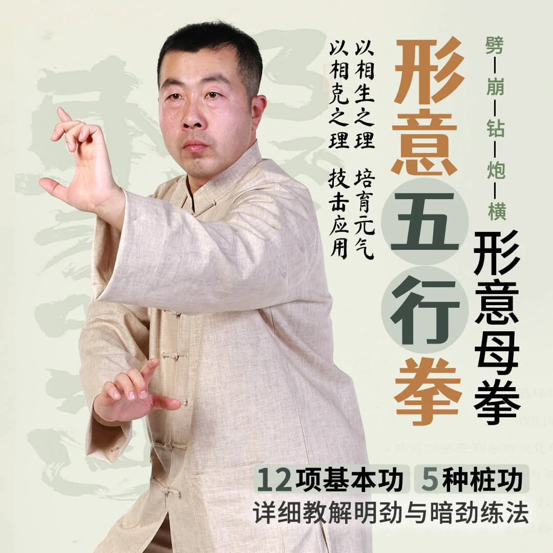 形意五行拳 全套视频自学教程零基础新手入门到实战搏击（非实物）