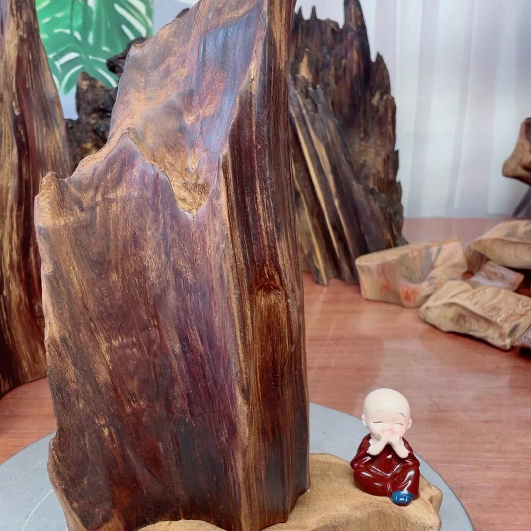 T***u你明明窜女命哟呵名