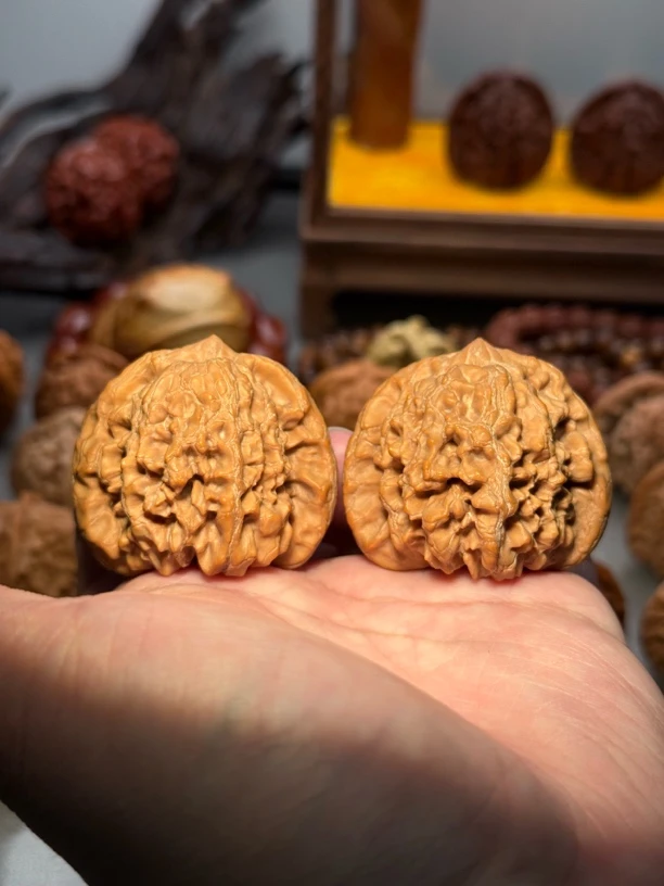 文玩核桃-45.5尺寸和尚头！