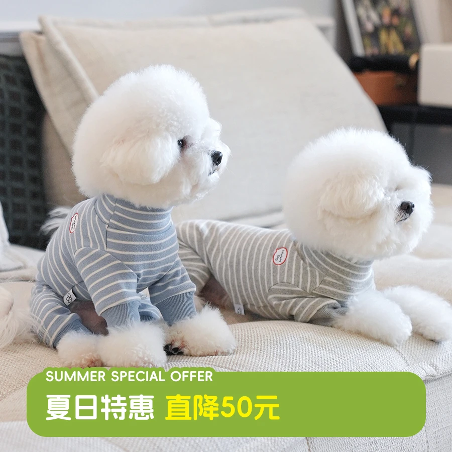 【两件立减50元】四脚衣弹力保暖防脏水洗不变形条纹打底搭配神器