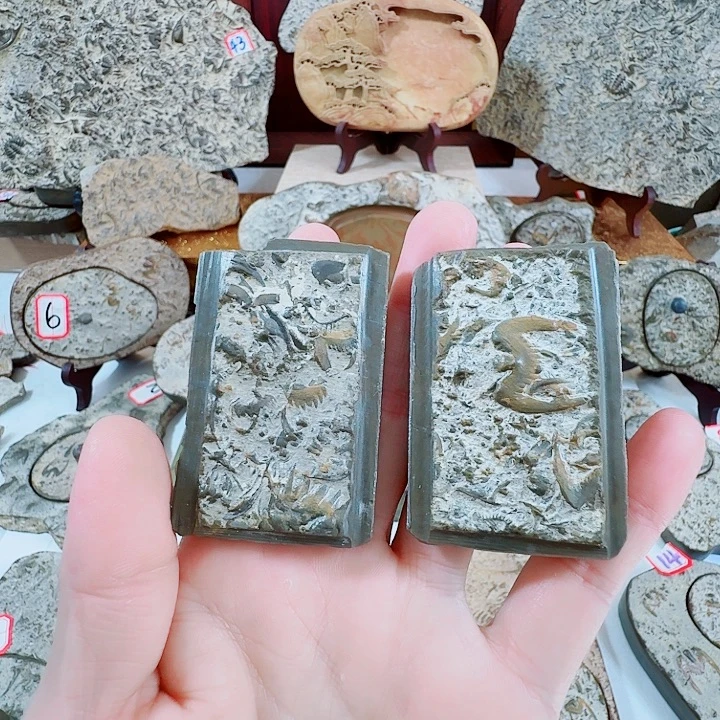 燕子石三叶虫化石砚台手把件