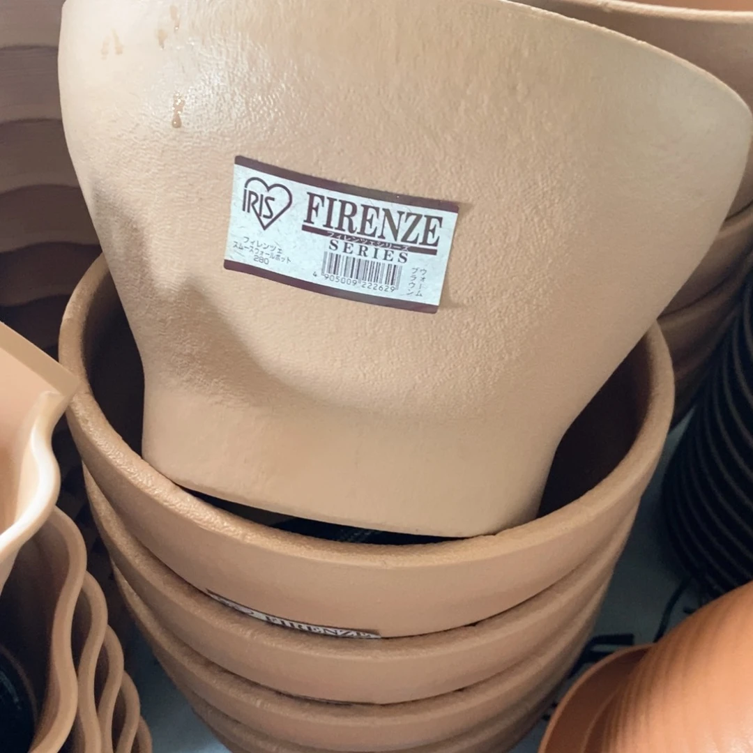 半圆形壁挂无挂钩浅茶色3个