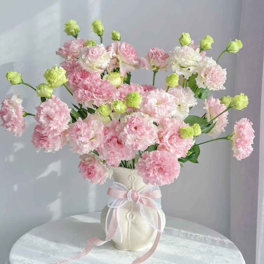 【杨鹏鲜花】小粉兔 洋桔梗 云南鲜花包邮