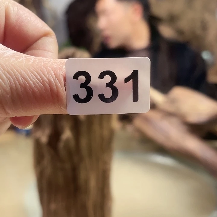 风车木（黑檀木）葫**牛我在这里等你们