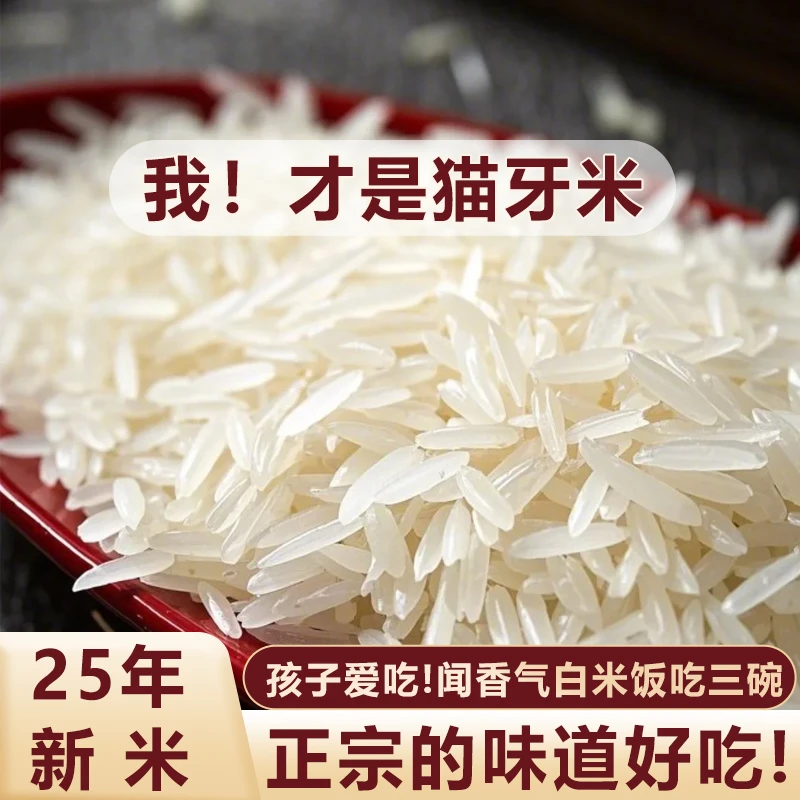 25年新米[香糯正宗猫牙米] 农家现磨长粒大米梯田 不好吃退孩爱吃