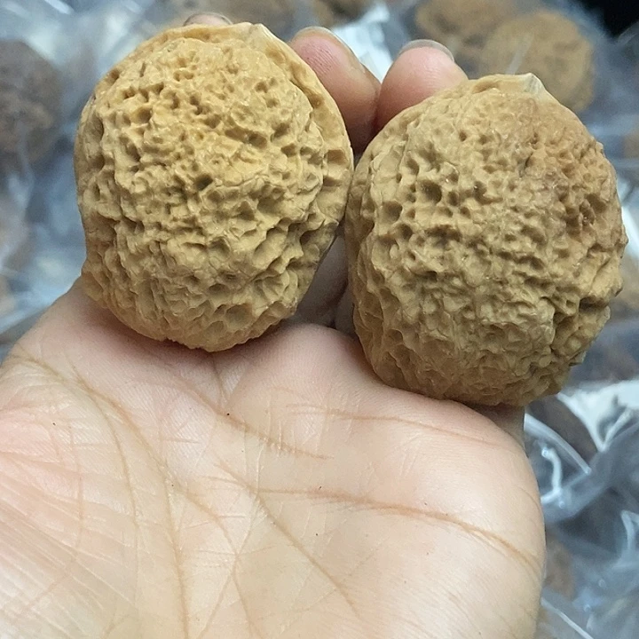 木质类云南铁核桃+20