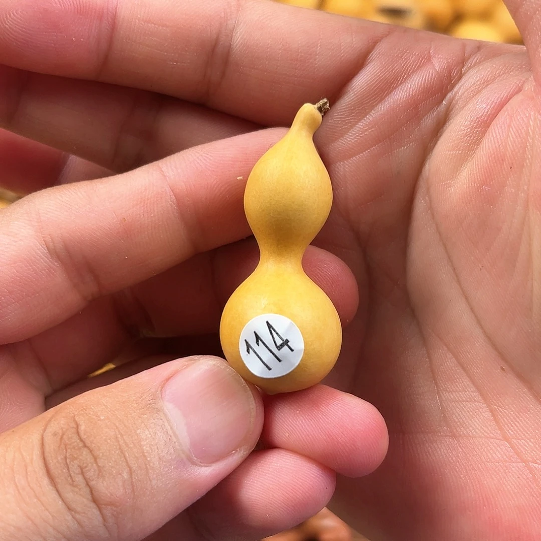 一葫芦葫芦葫芦葫芦一葫芦葫芦葫芦葫芦114