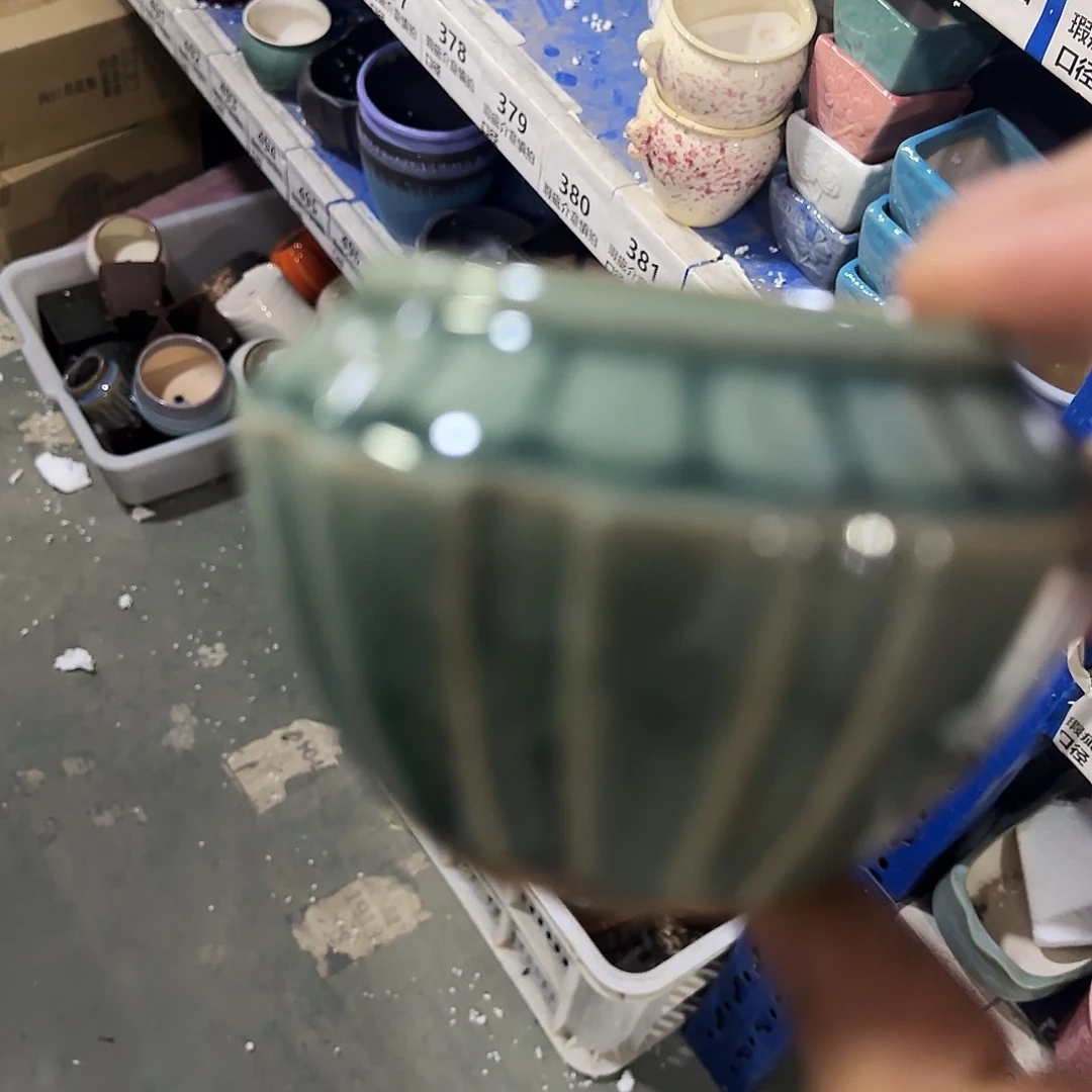 福利局绿植多肉盆［凑9元包邮24小时发］269