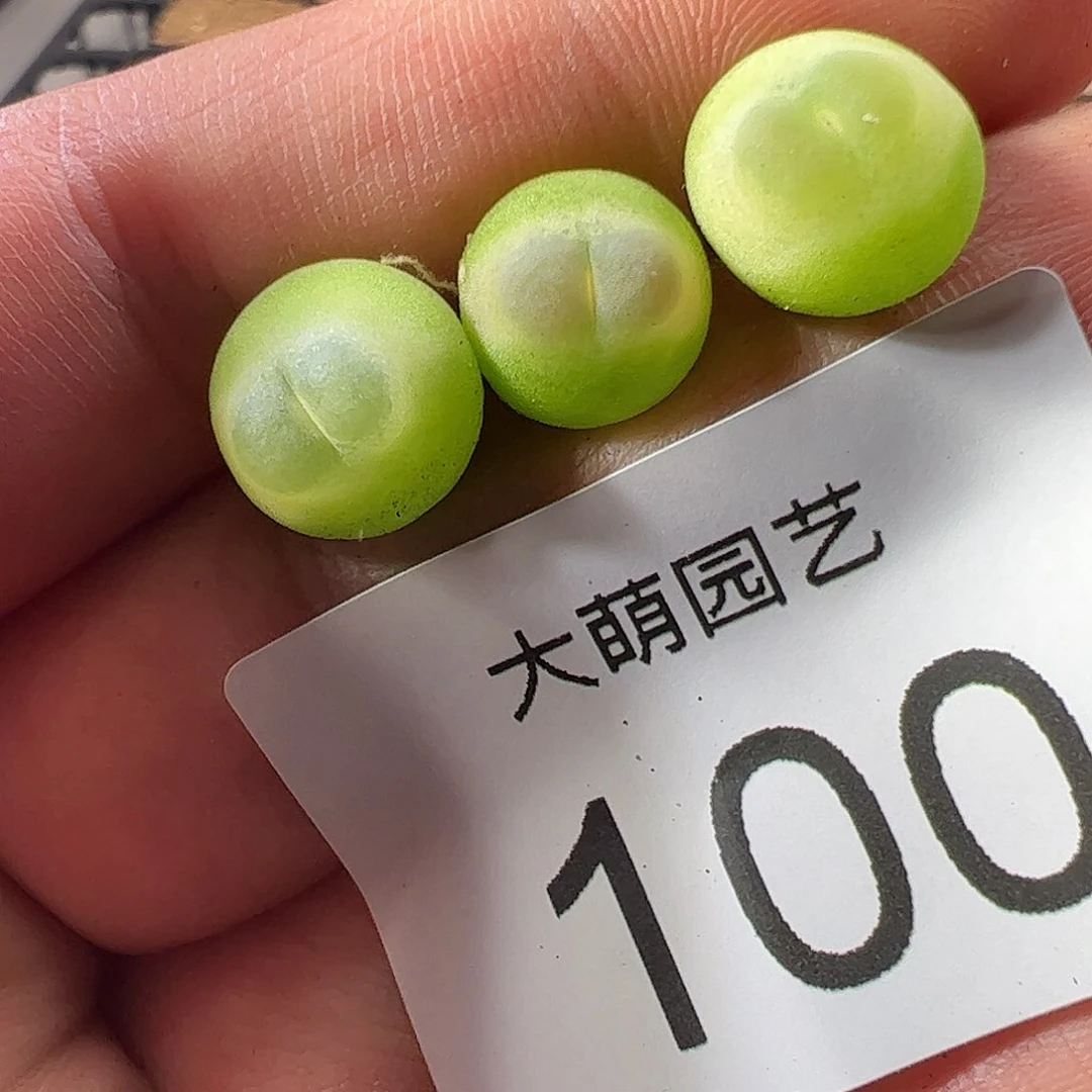 0000一物一拍。  100