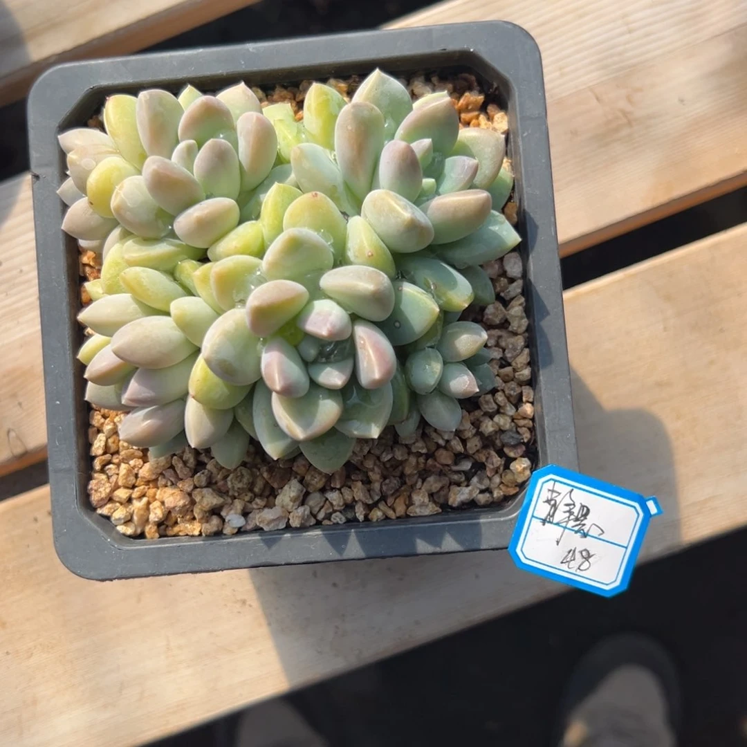 静***?11111111111111111111111