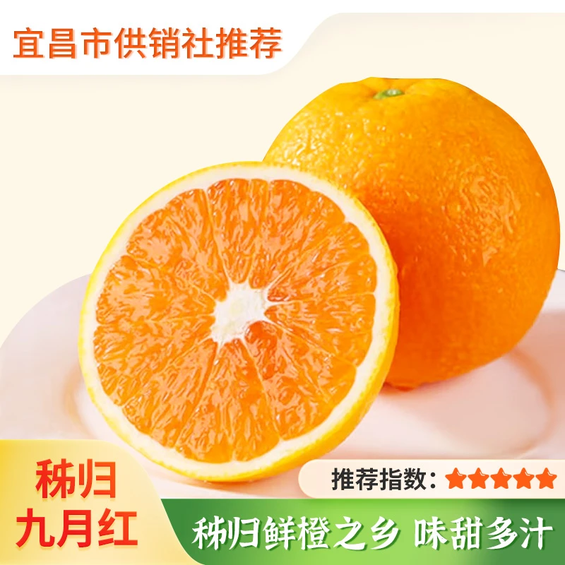 【供销优选】湖北秭归 九月红橙 当季现摘 爆汁纯甜手剥橙 果味浓郁
