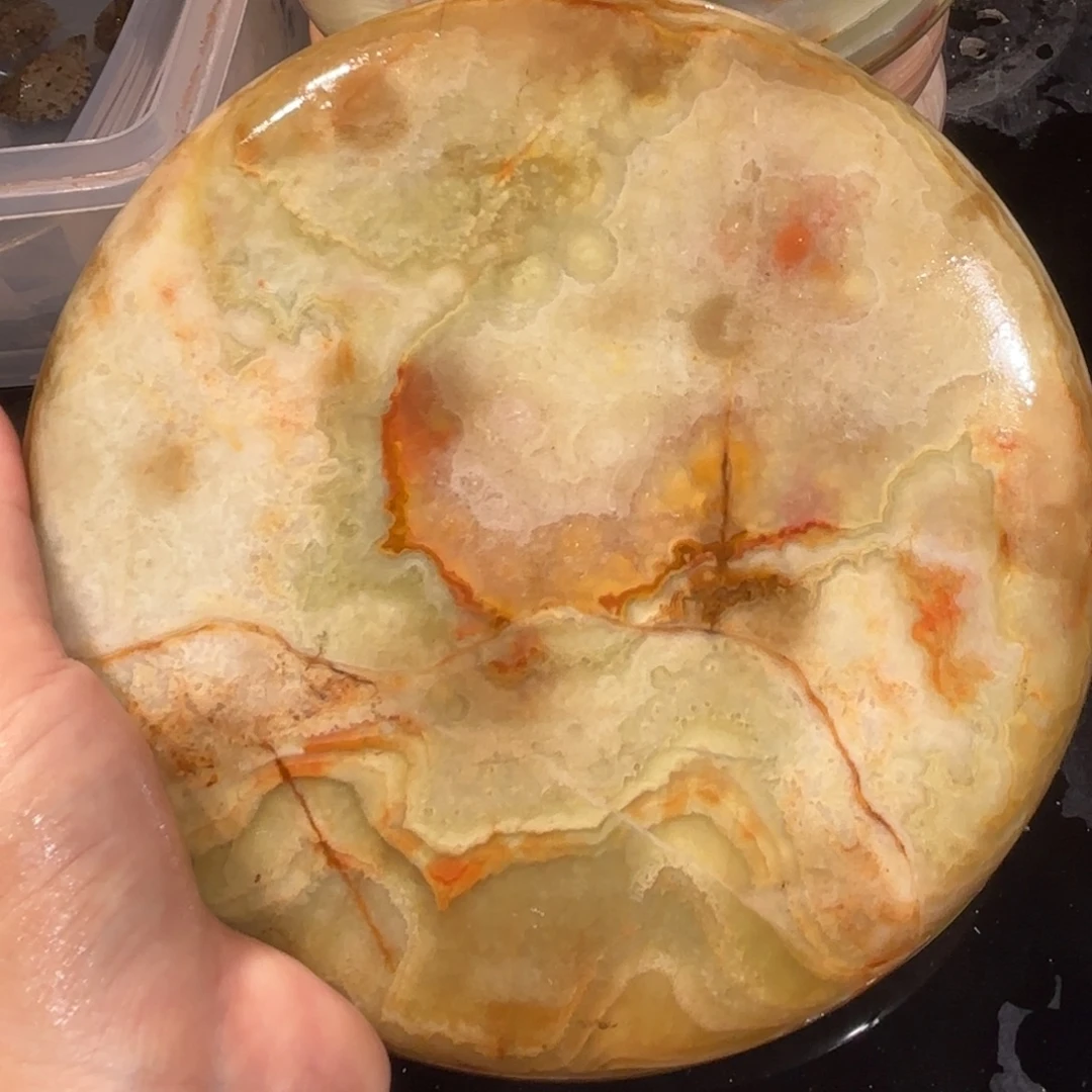 宠物龟不分公母全品松花玉石晒台