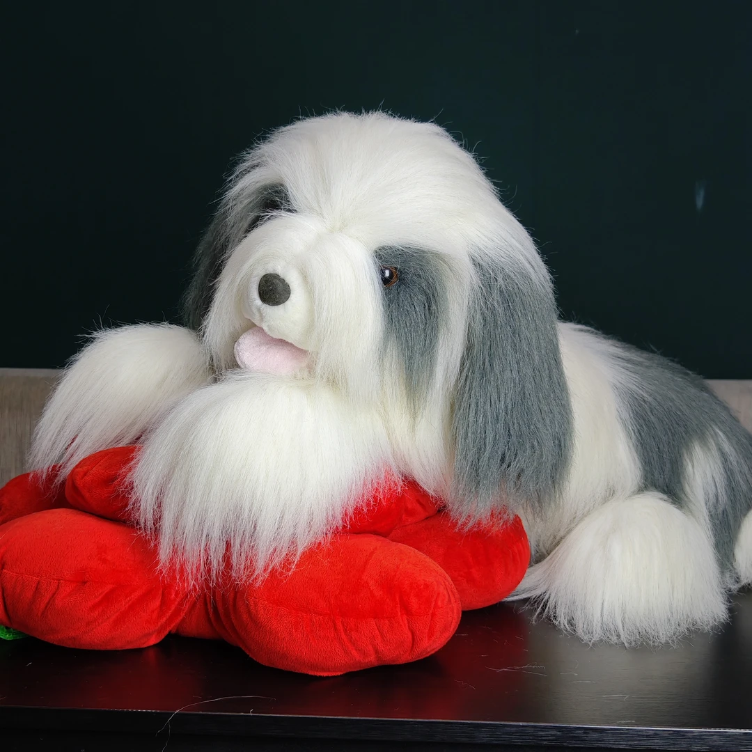 工厂样板趴款大号古牧犬,老料长毛,80cm长超大规格