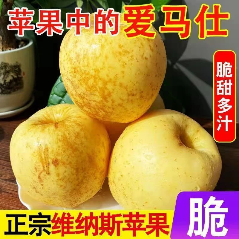 2025头茬黄金维纳斯脆甜爆汁