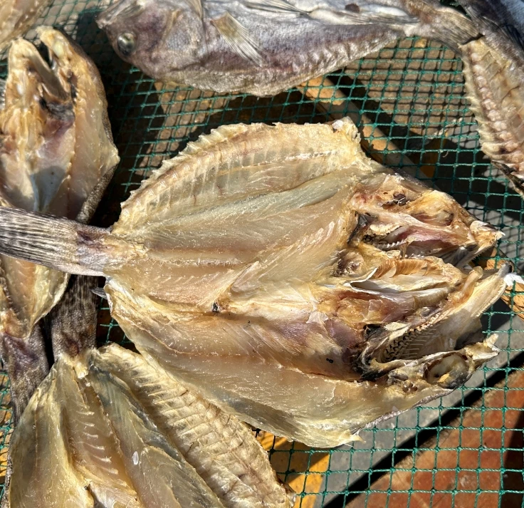 北海鲜晒石斑鱼干咸香味美