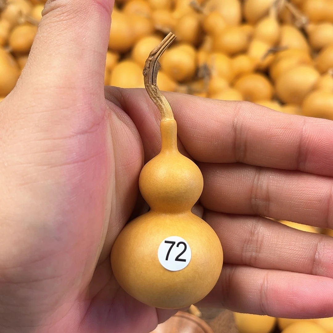 五葫芦葫芦葫芦葫芦72