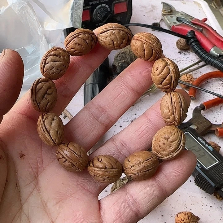 路***过11111111111111111