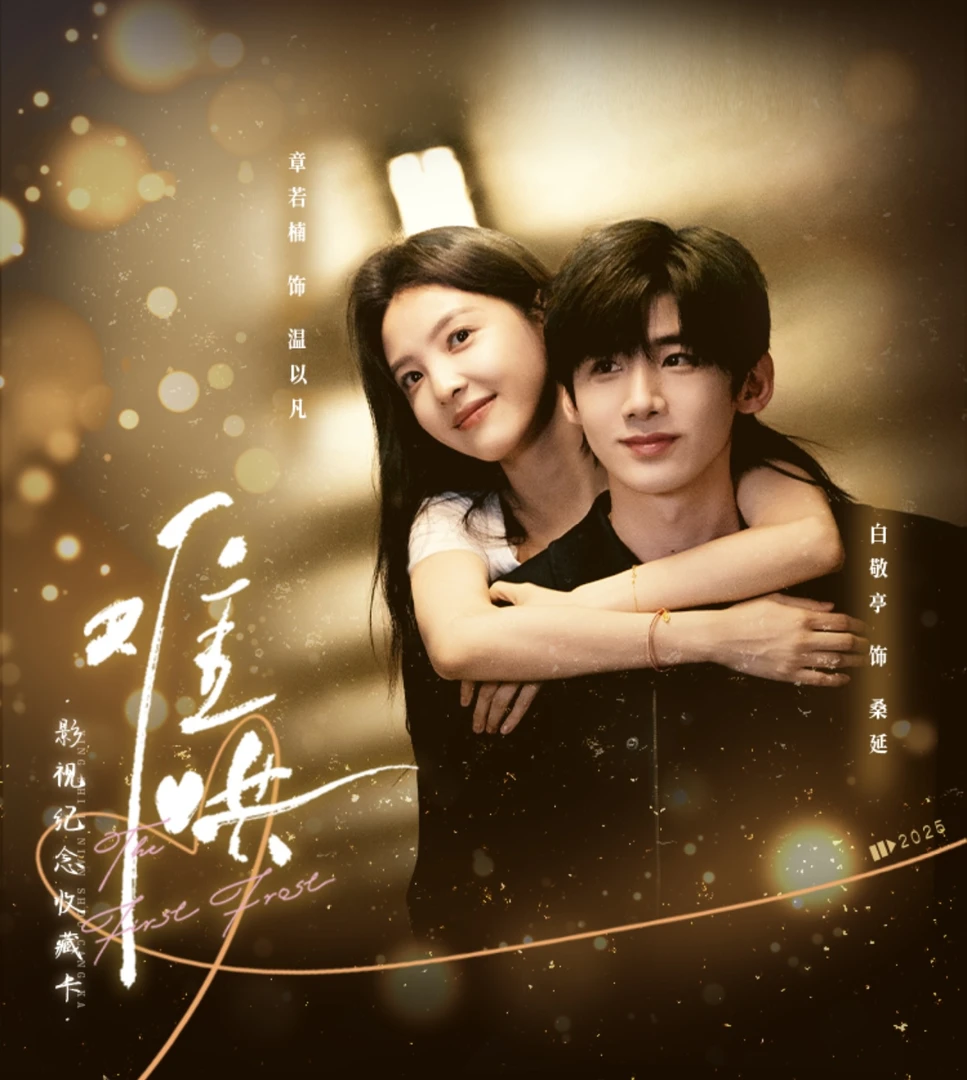 小八  Hit card难哄收藏卡