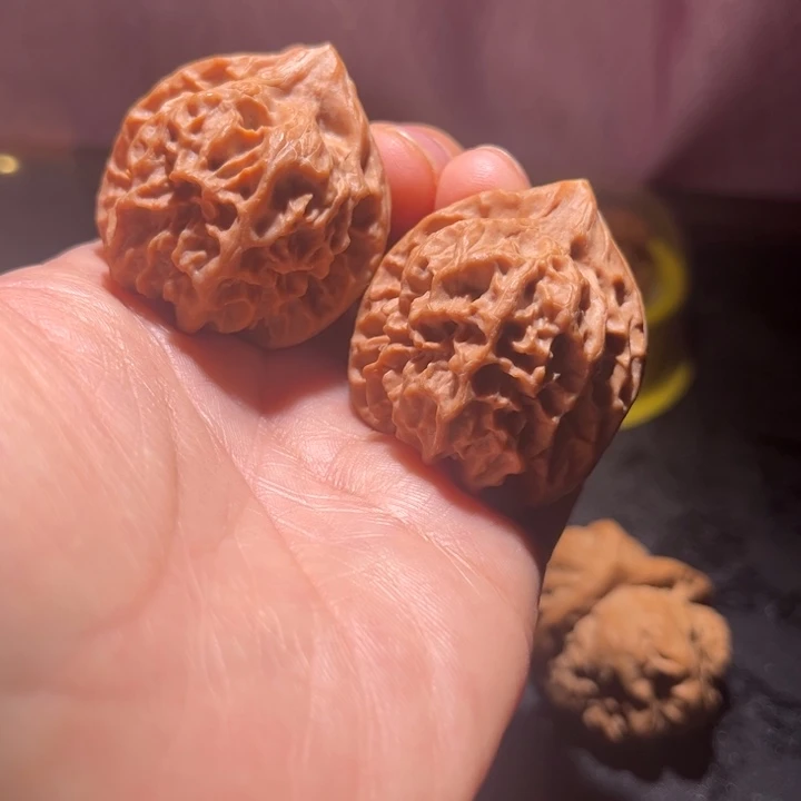 吊坠龙脊菩提大龙