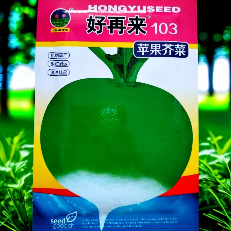 苹果芥菜种子10克左右