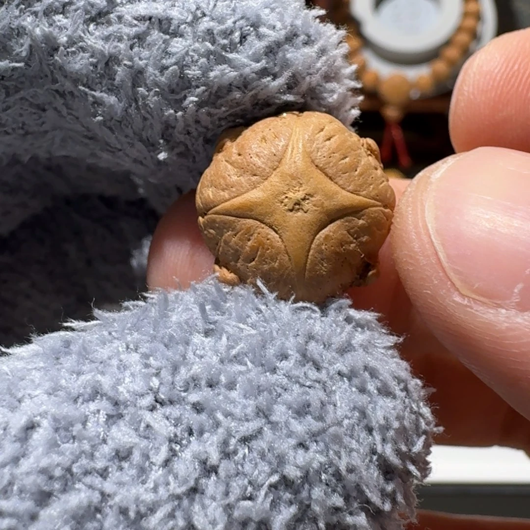 麒麟眼菩提吊坠尼泊尔二茬恶魔麒麟 17 尺寸