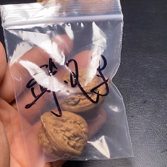 【闪购商品】把件文玩核桃武****饰粗筋