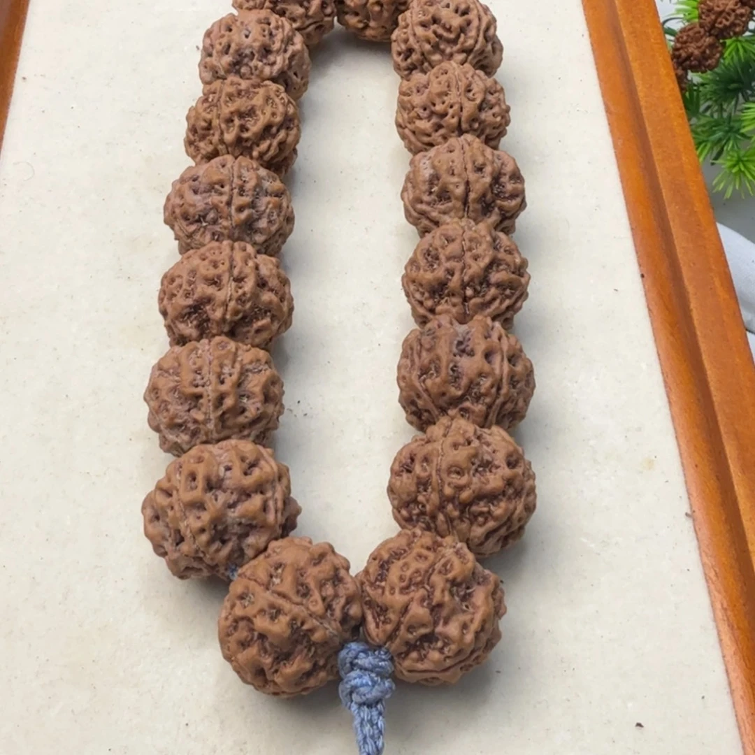 金刚菩提吊坠五星蜂王粗筋蜂窝双龙铁籽