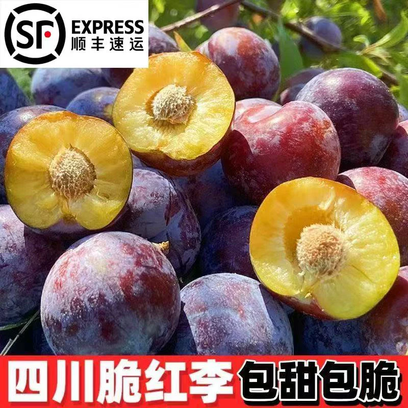 【顺丰速运】正宗四川脆红李脱骨李茵红李新鲜应季水果包邮