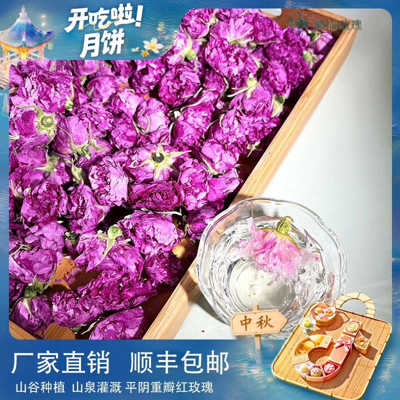 （拍三发四）平阴重瓣泡茶冻干玫瑰食用平阴玫瑰玫瑰花茶玫瑰花直销