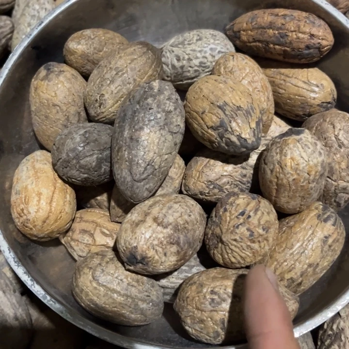 千眼菩提吊坠千眼菩提第35