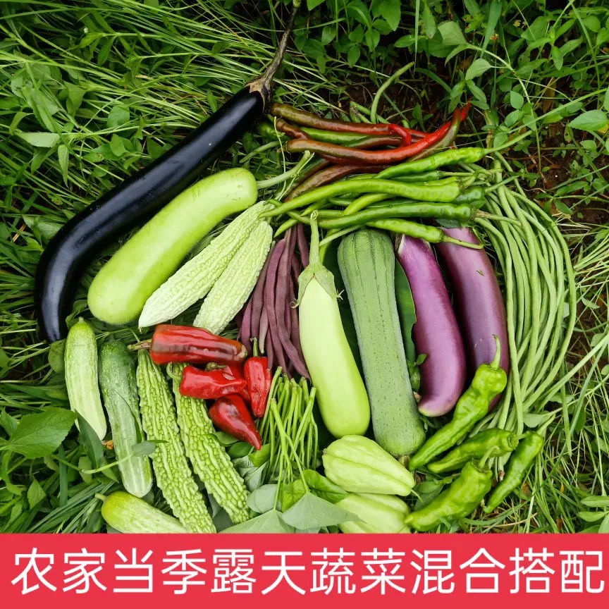 （湘西农仓）本地/蔬菜/小黄姜/临时